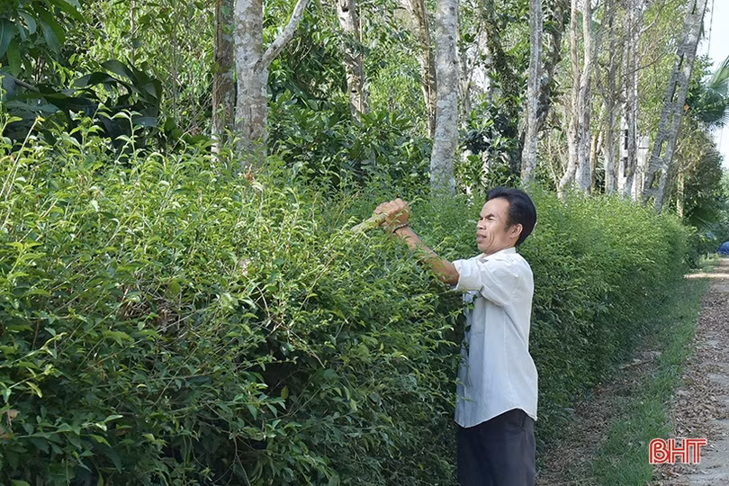 Kết nạp Đảng trong quân ngũ, bí thư chi bộ đưa thôn “rốn lũ” trở thành khu dân cư kiểu mẫu ở Hà Tĩnh