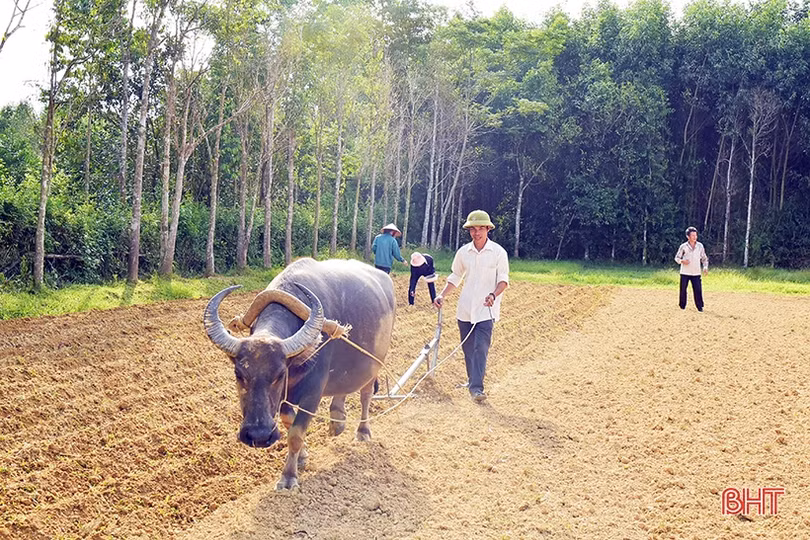 Kết nạp Đảng trong quân ngũ, bí thư chi bộ đưa thôn “rốn lũ” trở thành khu dân cư kiểu mẫu ở Hà Tĩnh