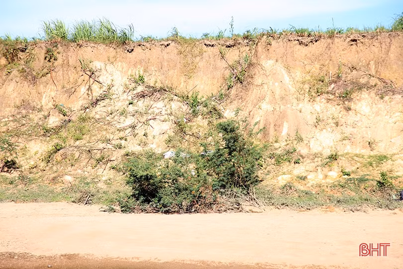 Bờ sông Rác sạt lở nghiêm trọng đe dọa hàng chục ha đất nông nghiệp ở Cẩm Xuyên