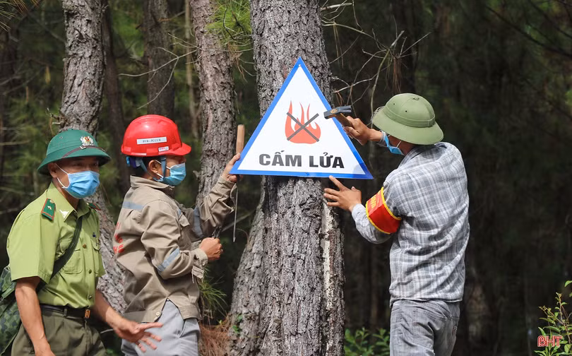 Hà Tĩnh chỉ đạo tăng cường phòng cháy, chữa cháy rừng