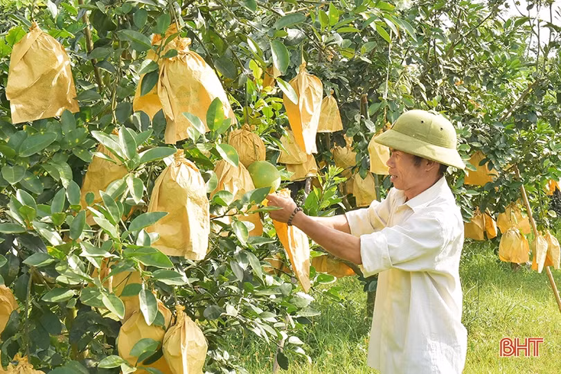 Kết nạp Đảng trong quân ngũ, bí thư chi bộ đưa thôn “rốn lũ” trở thành khu dân cư kiểu mẫu ở Hà Tĩnh