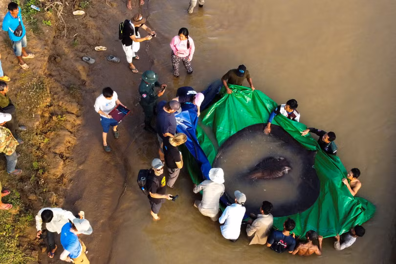 Bắt hàng chục con cá trên sông bằng máy xúc