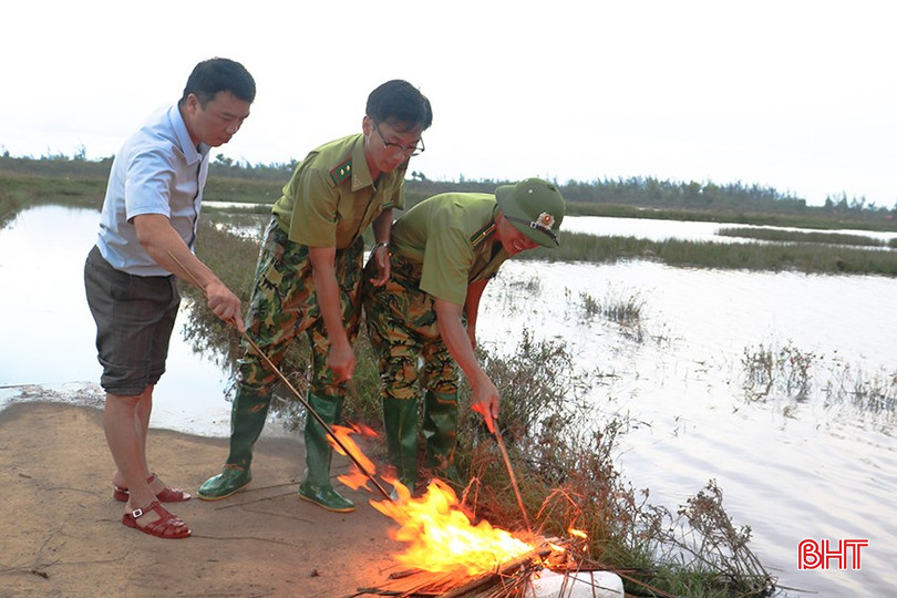 bqbht_br_anh-xu-ly-chim-2.jpg