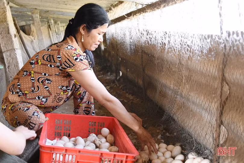 Những chủ thể làm khởi sắc nông thôn mới huyện ven biển Hà Tĩnh