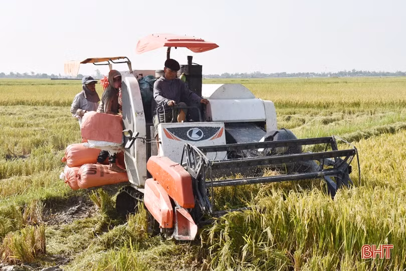 Những chủ thể làm khởi sắc nông thôn mới huyện ven biển Hà Tĩnh