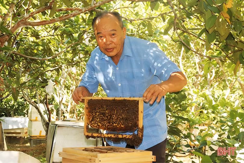 Xã ven đô Hà Tĩnh đa dạng mô hình kinh tế gắn với xây dựng nông thôn mới