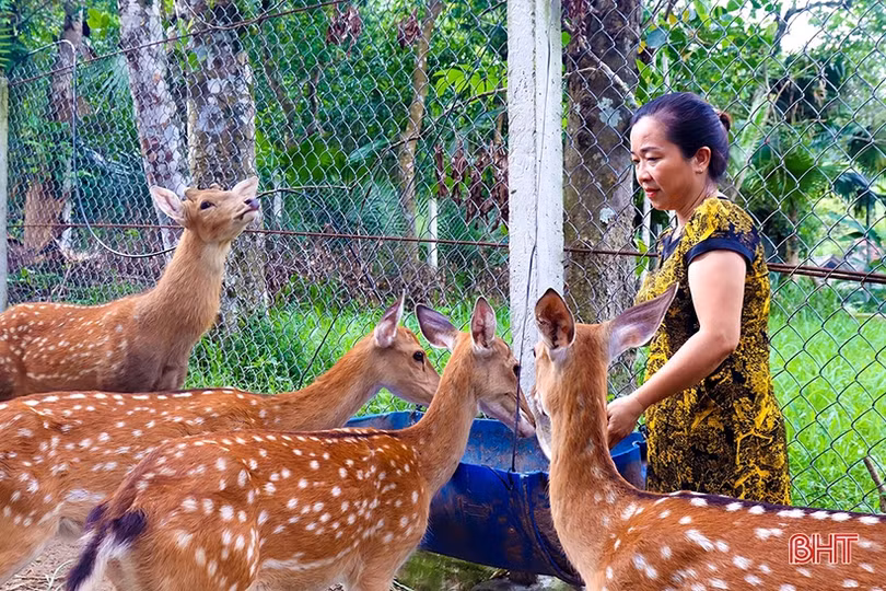 Phát huy vai trò chủ thể của nông dân trong phát triển nông nghiệp, kinh tế nông thôn, xây dựng nông thôn mới