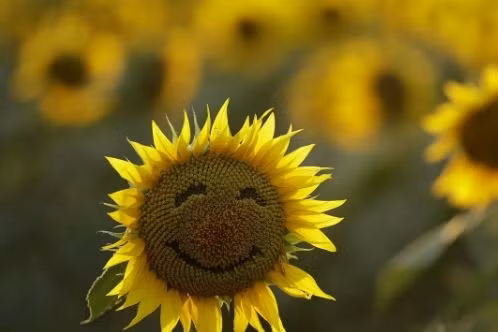 Khám phá độ tuổi con người hạnh phúc nhất