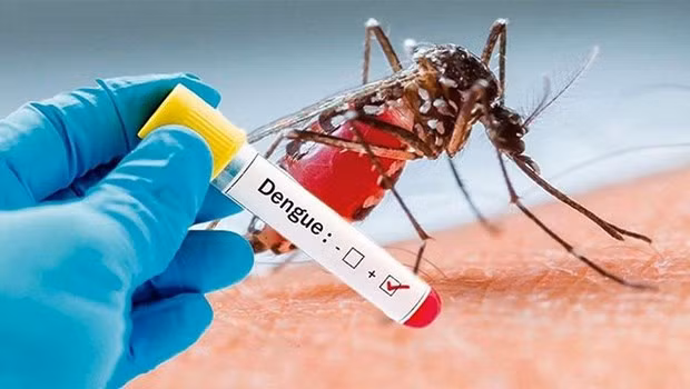 Bangladesh: 21 người tử vong do sốt xuất huyết chỉ trong một ngày