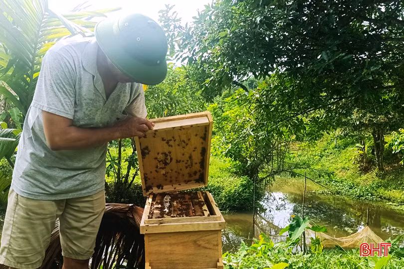 Khởi nghiệp thành công nơi “thâm sơn cùng cốc”