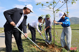 Mùa xuân là Tết trồng cây