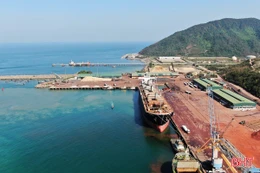 Cảng biển Hà Tĩnh sôi động những chuyến hàng thông quan đầu năm