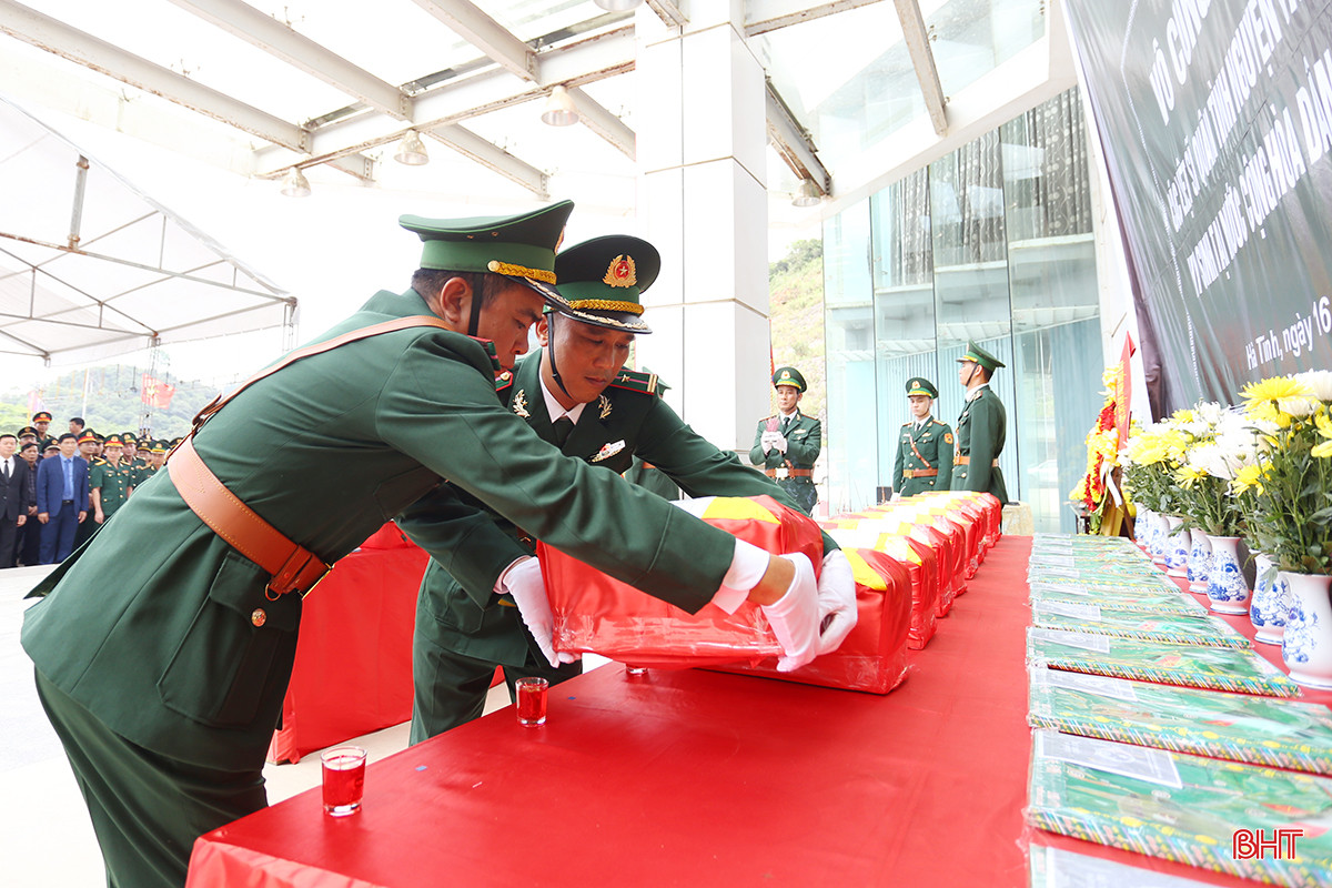 aIMG_3742.jpg