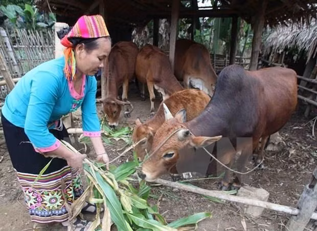Phó Thủ tướng Vương Đình Huệ phát động nhắn tin ủng hộ người nghèo ảnh 1 Phó Thủ tướng Vương Đình Huệ phát động nhắn tin ủng hộ người nghèo