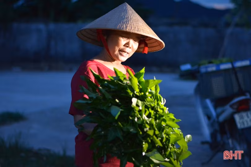 Khám phá chợ đêm gần trăm tuổi ở Hà Tĩnh