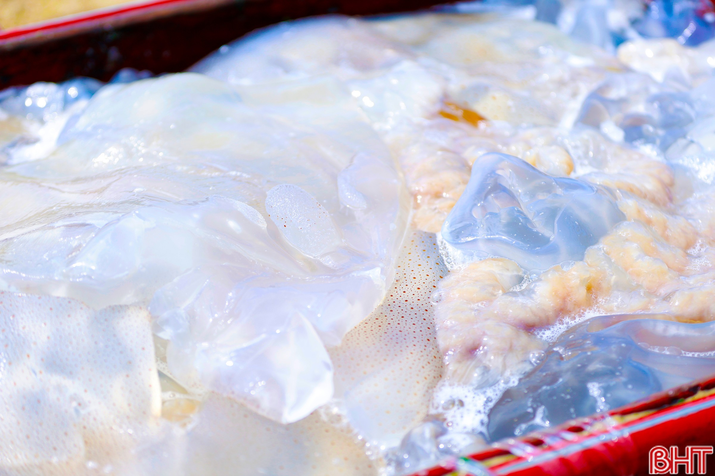 mg-9098.jpg