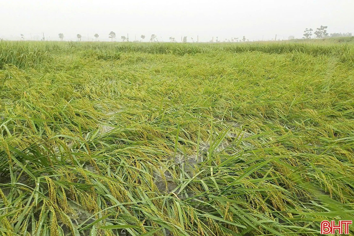 sat-lo-duong-ven-bien-9c.jpg
