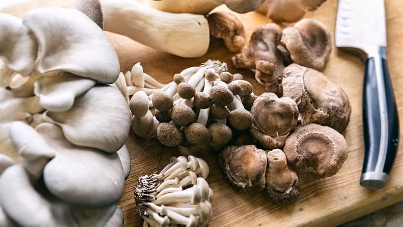 Nấm được ví như một loại rau giàu đạm (Ảnh: Everyday Health).