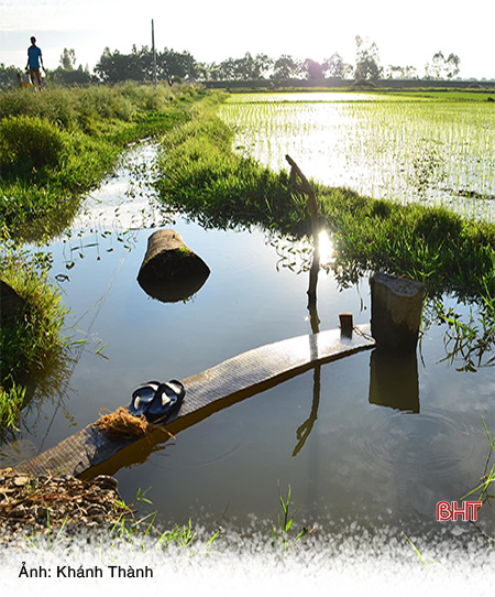 Bóng làng thân thương…