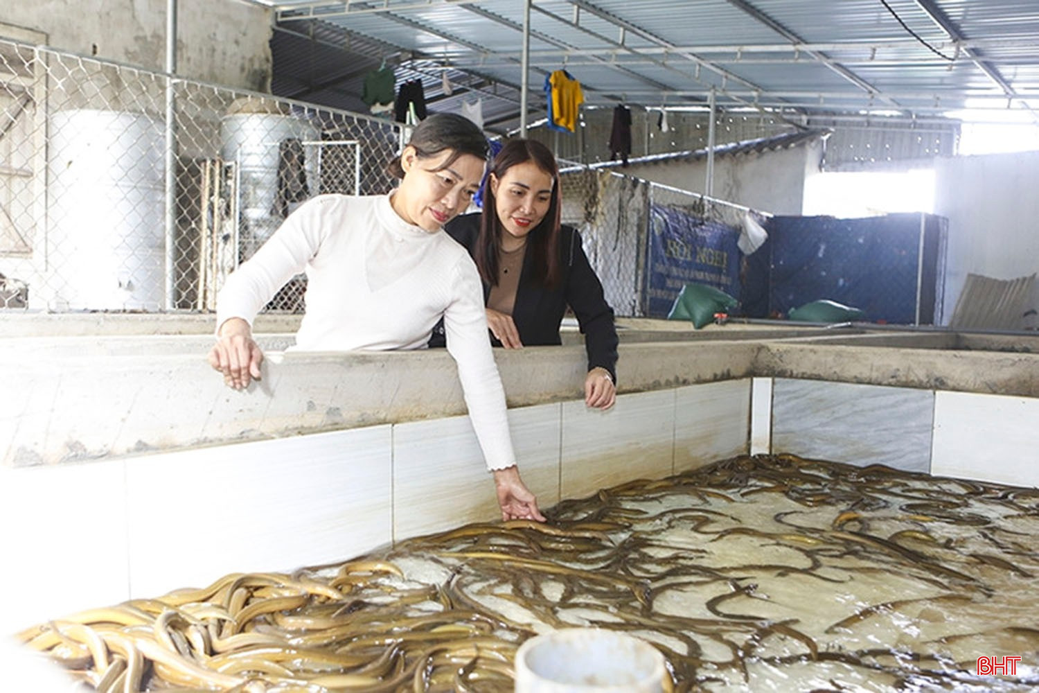 bqbht_br_mo-hinh-cua-chi-nguyen-thi-tuong-phuong-nam-hong-linh.jpg