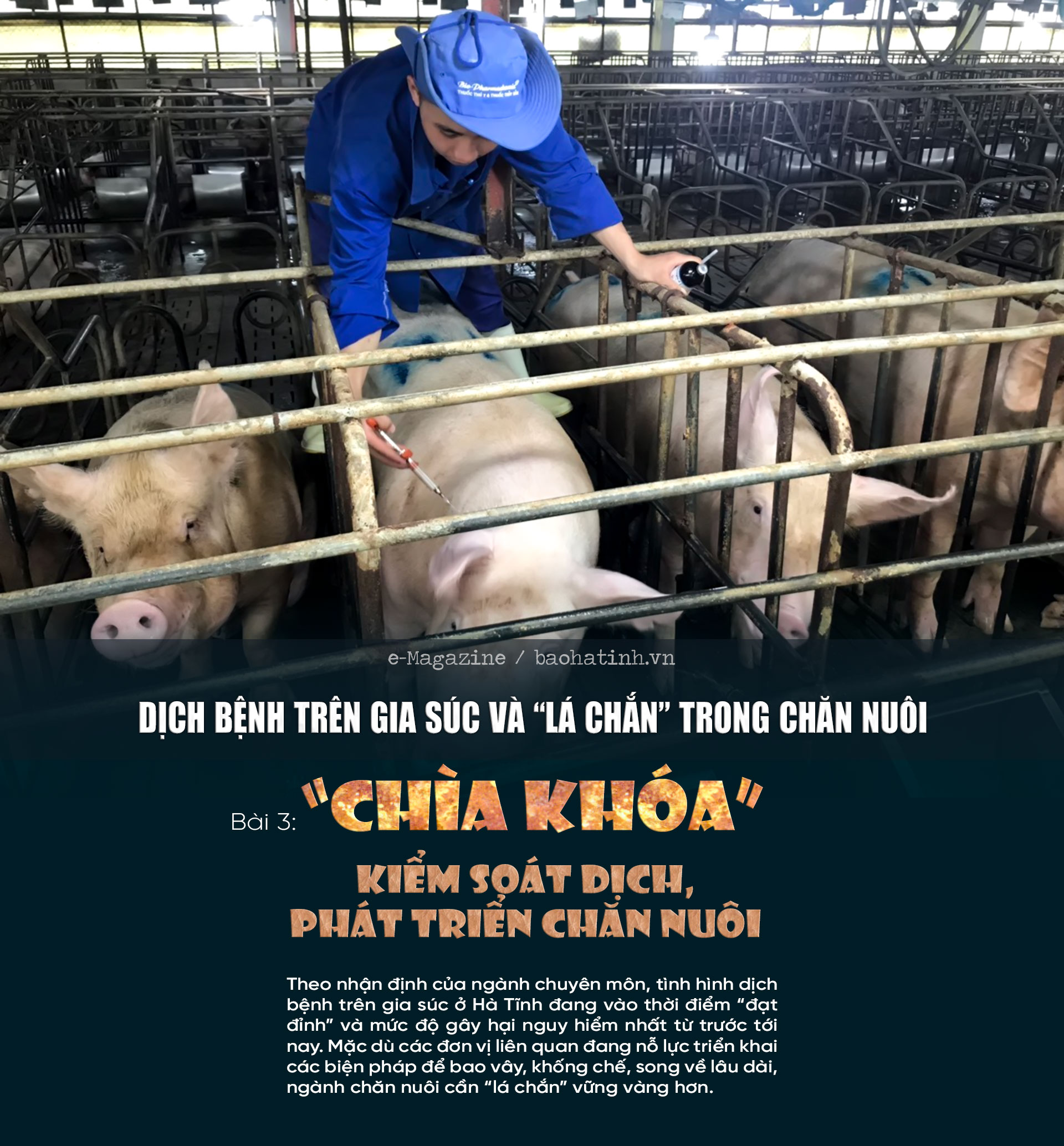Dịch bệnh trên gia súc và “lá chắn” trong chăn nuôi (bài 3): “Chìa khóa” kiểm soát dịch, phát triển chăn nuôi