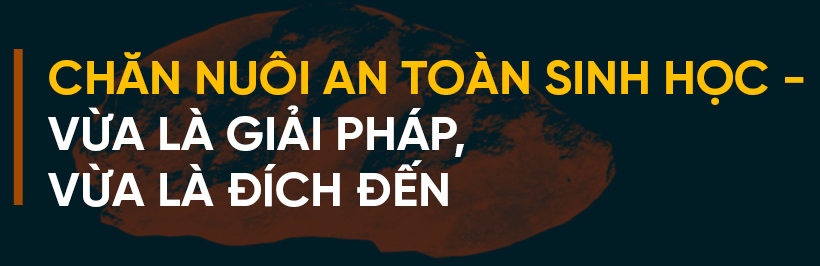 Dịch bệnh trên gia súc và “lá chắn” trong chăn nuôi (bài 3): “Chìa khóa” kiểm soát dịch, phát triển chăn nuôi