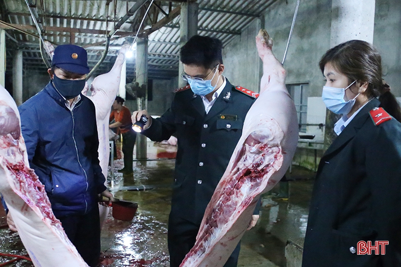Dịch bệnh trên gia súc và “lá chắn” trong chăn nuôi (bài 3): “Chìa khóa” kiểm soát dịch, phát triển chăn nuôi
