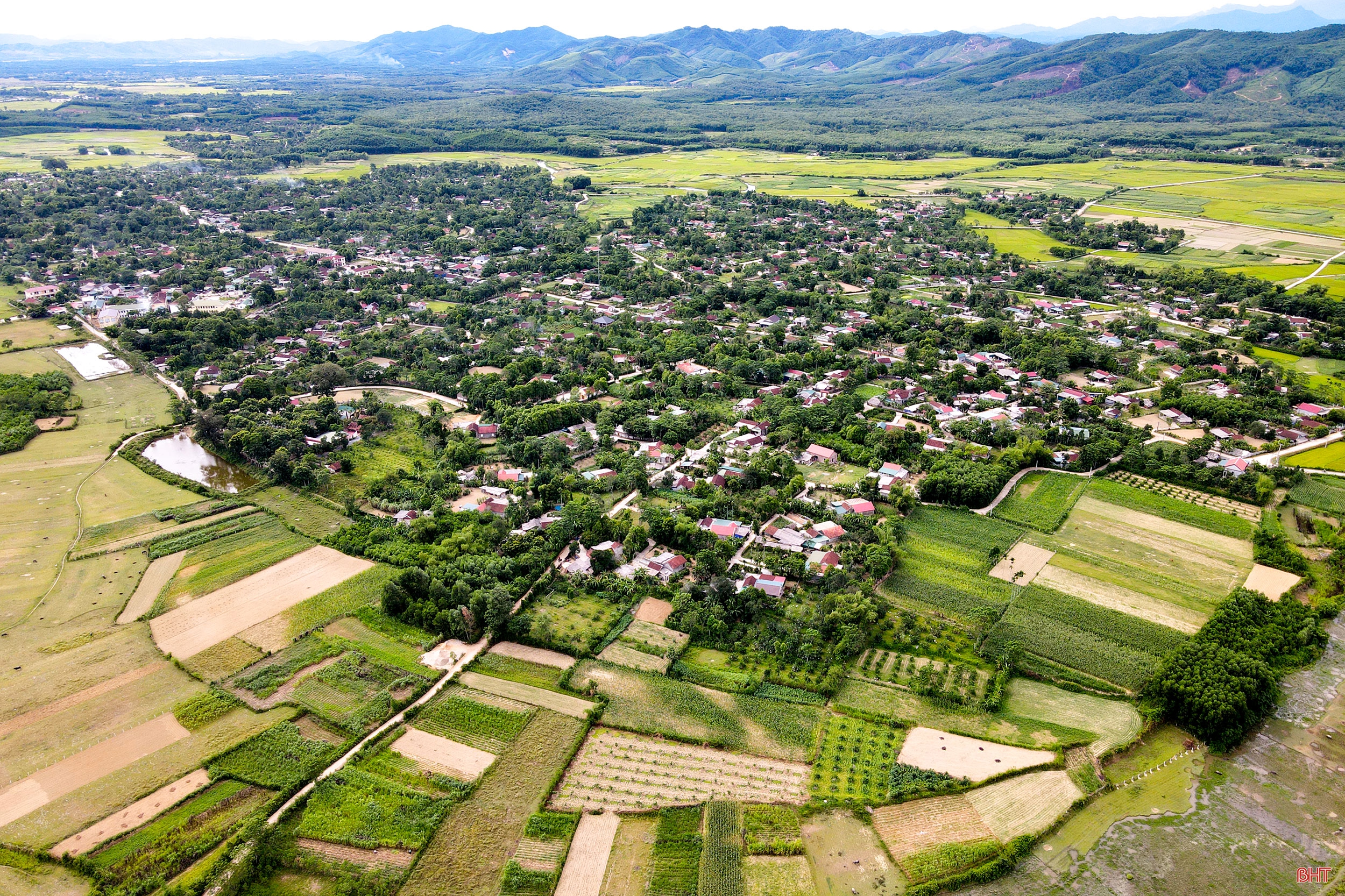 Đảng viên là người có đạo ở Hà Tĩnh - khi “hạt giống đỏ” được ươm mầm (bài 3): Nữ bí thư chi bộ nhiệt huyết với xây dựng nông thôn mới