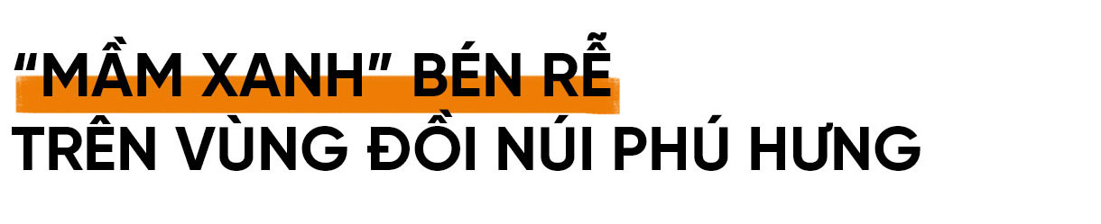 Đảng viên là người có đạo ở Hà Tĩnh - khi “hạt giống đỏ” được ươm mầm (bài 3): Nữ bí thư chi bộ nhiệt huyết với xây dựng nông thôn mới