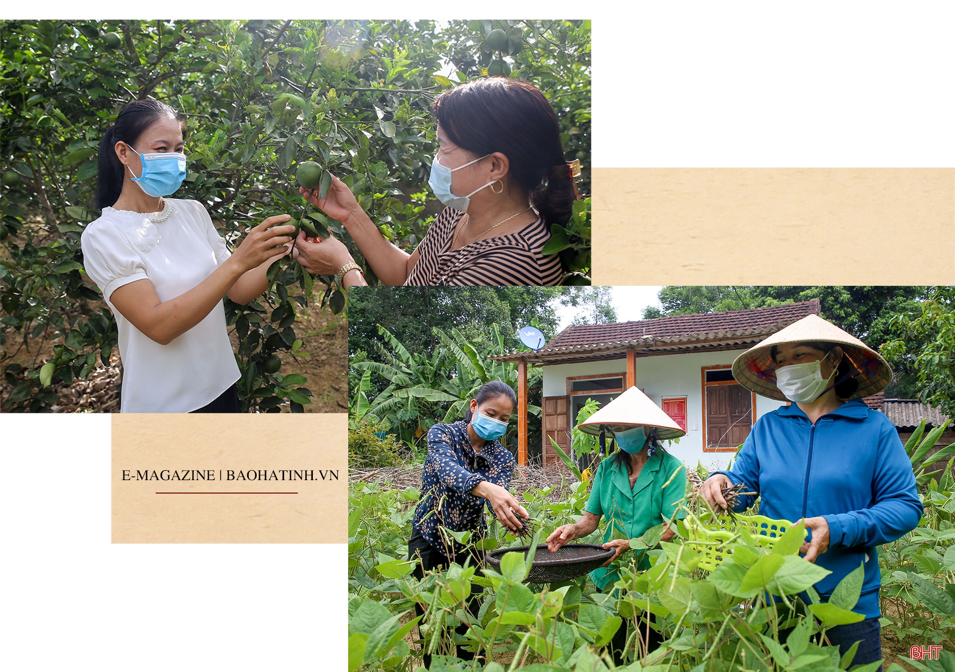 Đảng viên là người có đạo ở Hà Tĩnh - khi “hạt giống đỏ” được ươm mầm (bài 3): Nữ bí thư chi bộ nhiệt huyết với xây dựng nông thôn mới