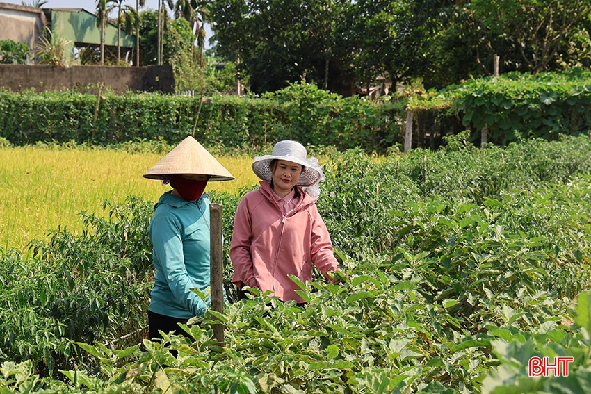 Chị Bùi Thị Hoa không quản ngại thời tiết nắng nóng, vẫn kiên trì ra đồng tuyên truyền, vận động người dân tham gia BHXH tự nguyện. bqbht_br_1.jpg