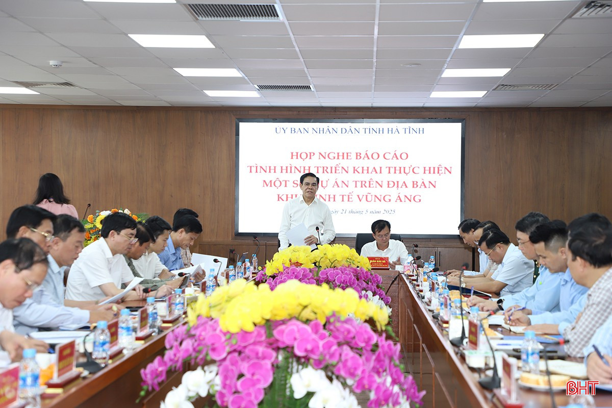 Chủ tịch UBND tỉnh Võ Trọng Hải đặt vấn đề mở đầu buổi làm việc. bqbht_br_3.jpg