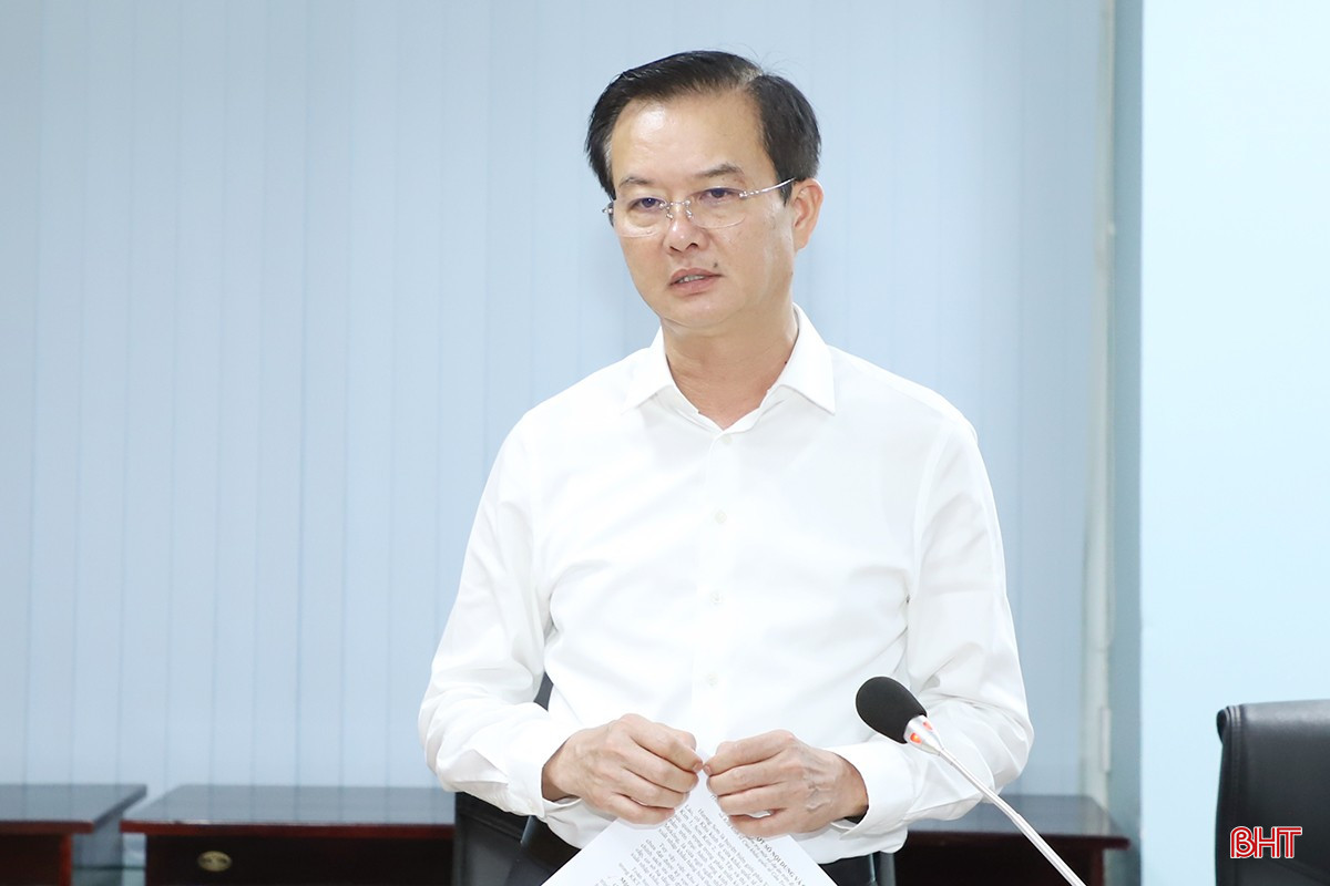 Phó Chủ tịch UBND tỉnh Trần Báu Hà phát biểu tại buổi làm việc. bqbht_br_1.jpg