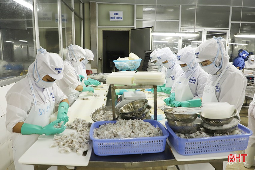 Giá điện tăng thêm 4,8% đồng nghĩa mỗi tháng, Công ty CP Xuất nhập khẩu Thủy sản Nam Hà Tĩnh "đội thêm" hơn 12 triệu đồng tiền điện. bqbht_br_11.jpg