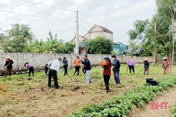 Chi hội trưởng nông dân vùng giáo chung tay xây dựng khu dân cư kiểu mẫu