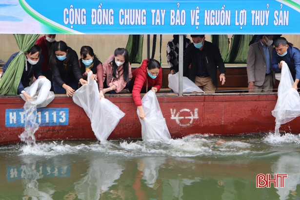 Thả hơn 1,7 tấn cá giống xuống hồ Ngàn Trươi