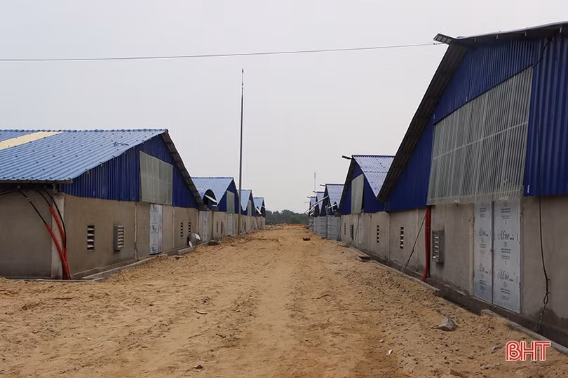 “Mục sở thị” mô hình nuôi tôm bằng công nghệ lọc tuần hoàn ở Hà Tĩnh