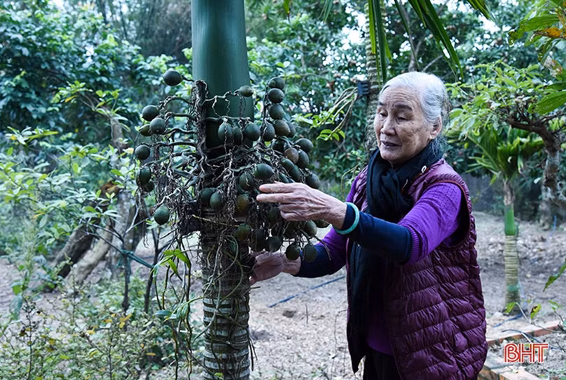 Gia đình hiếu học ở Hà Tĩnh có 6 người là tiến sỹ