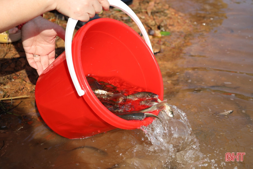 Hà Tĩnh thả 2 tấn cá tái tạo nguồn lợi thủy sản ở hồ Kẻ Gỗ