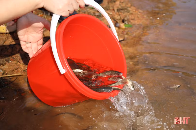 Hà Tĩnh thả 2 tấn cá tái tạo nguồn lợi thủy sản ở hồ Kẻ Gỗ