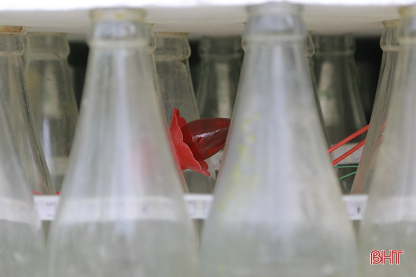 Độc đáo cây thông Noel làm từ 15.000 vỏ chai bia ở Hà Tĩnh