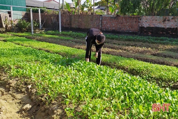 Chi hội trưởng nông dân vùng giáo chung tay xây dựng khu dân cư kiểu mẫu