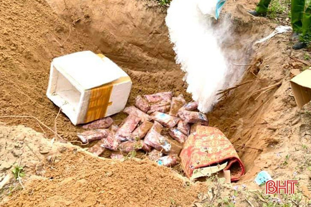 Hà Tĩnh: Tiêu hủy hơn 100 kg thịt và hàng trăm khẩu súng đồ chơi không rõ nguồn gốc