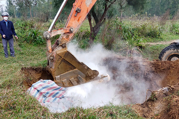 Xuất hiện dịch tả lợn châu Phi, Nghi Xuân khẩn trương khoanh vùng để khống chế 