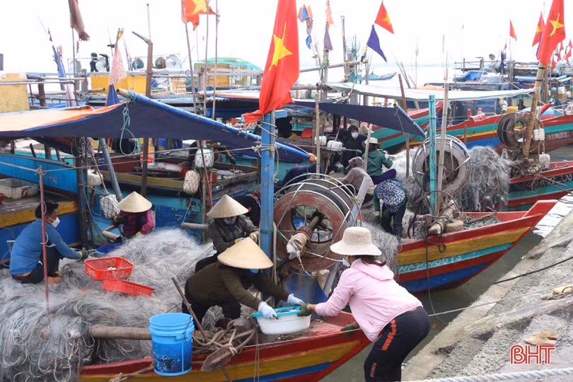 Vượt khó vươn khơi, ngư dân Hà Tĩnh chờ “tết ấm”