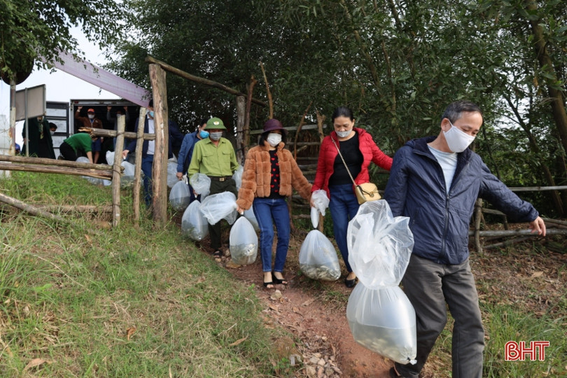 Hà Tĩnh thả 2 tấn cá tái tạo nguồn lợi thủy sản ở hồ Kẻ Gỗ