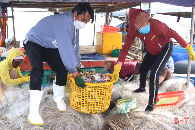 Vượt khó vươn khơi, ngư dân Hà Tĩnh chờ “tết ấm”