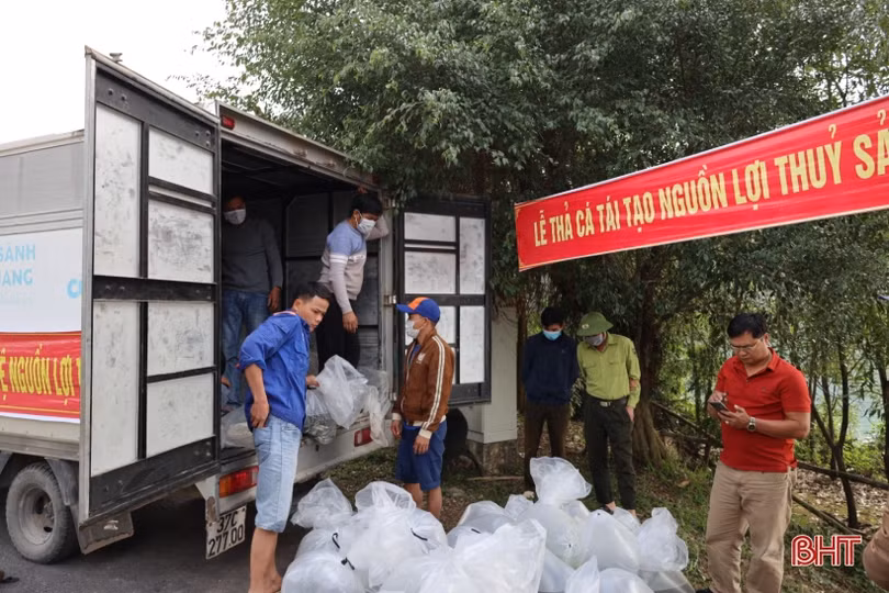 Hà Tĩnh thả 2 tấn cá tái tạo nguồn lợi thủy sản ở hồ Kẻ Gỗ