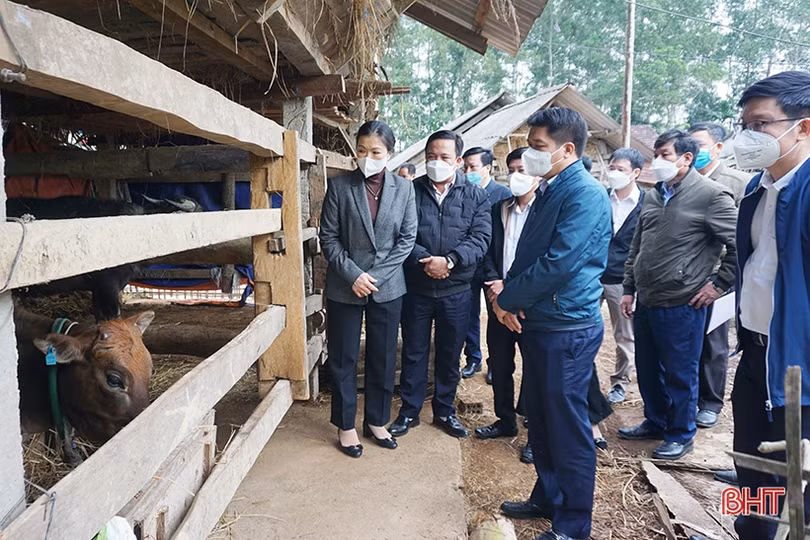 Hà Tĩnh kịp thời hỗ trợ Nhân dân vượt qua thiên tai, đẩy lùi dịch bệnh