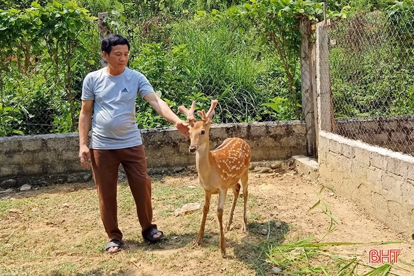 Hương Sơn chạm đích huyện nông thôn mới